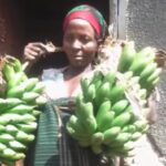 VIDEO: Woman caught stealing matooke for Christmas VIDEO: Woman caught stealing matooke for Christmas