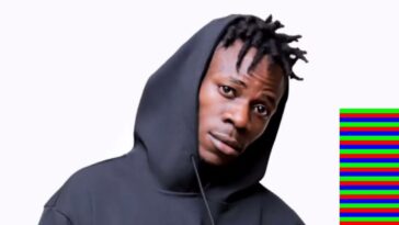 VIDEO: Alien Skin attacks Bobi Wine, says he is nothing in his music career