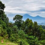 Uganda listed in best countries to be visited 2023 CNN Uganda listed in best countries to be visited 2023 CNN
