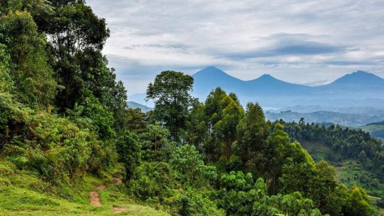 Uganda listed in best countries to be visited 2023 CNN Uganda listed in best countries to be visited 2023 CNN