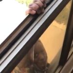 Video: Evil woman refuses to help fellow woman from falling to death Video: Evil woman refuses to help fellow woman from falling to death