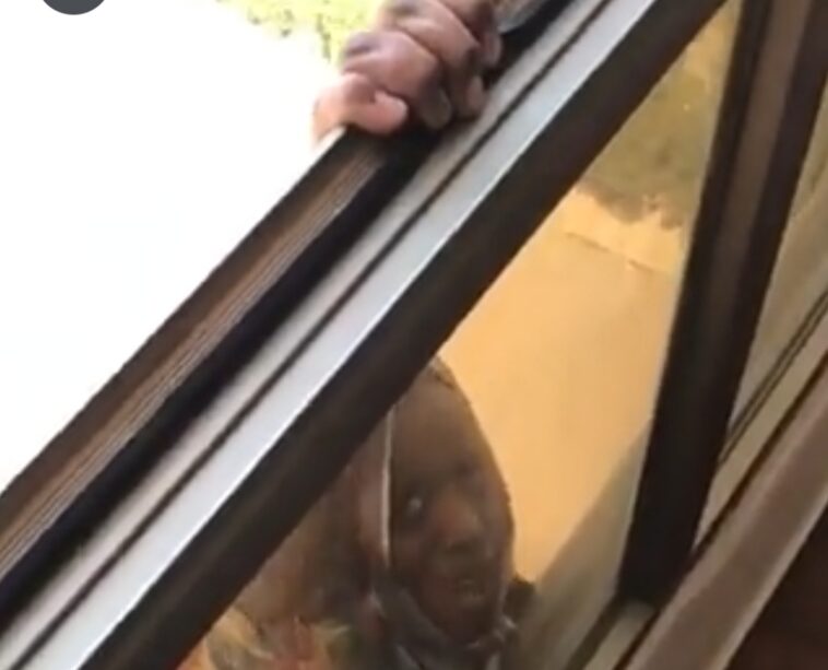 Video: Evil woman refuses to help fellow woman from falling to death Video: Evil woman refuses to help fellow woman from falling to death