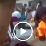 VIDEO: Witchcraft! Bees attack an introduction ceremony chasing everyone VIDEO: Witchcraft! Bees attack an introduction ceremony chasing everyone