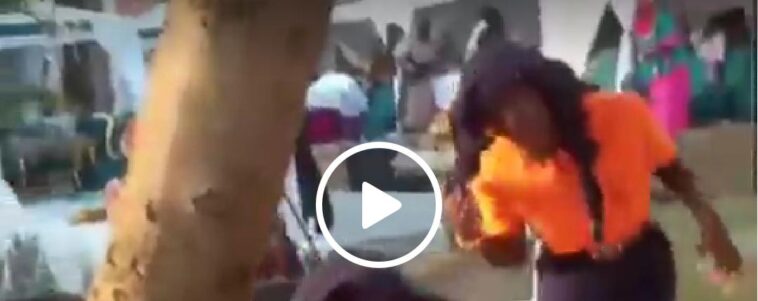 VIDEO: Witchcraft! Bees attack an introduction ceremony chasing everyone VIDEO: Witchcraft! Bees attack an introduction ceremony chasing everyone