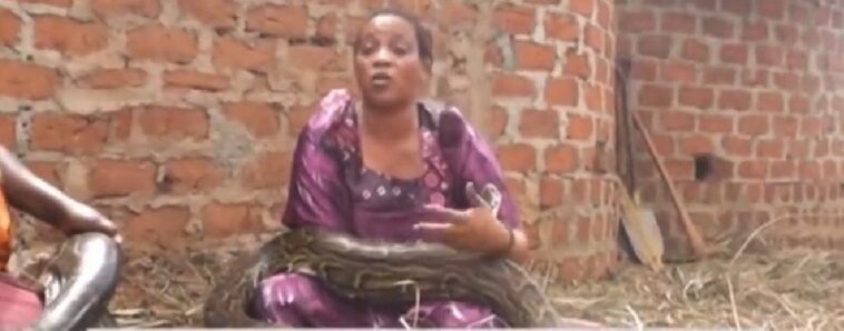 VIDEO: Ugandan woman gives birth to twins snakes VIDEO: Ugandan woman gives birth to twins snakes