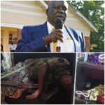 VIDEO: Watch UPDF Army man shoot Minister Charles Engola and himself dead VIDEO: Watch UPDF Army man shoot Minister Charles Engola and himself dead