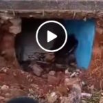 VIDEO: Danz Kumapeesa’s grave dug and his remains taken to another grave VIDEO: Danz Kumapeesa’s grave dug and his remains taken to another grave