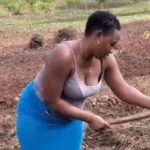 VIDEO: Awww – Beautiful queen leaves netizens wowed with hoe skills VIDEO: Awww – Beautiful queen leaves netizens wowed with hoe skills