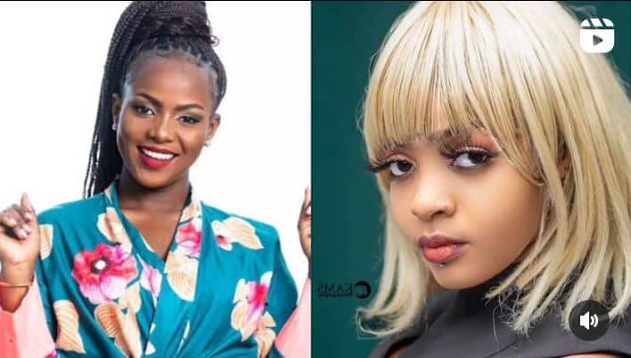 VIDEO: Urban TV’s blasts Sanyuka TV’s Hellen Menta VIDEO: Urban TV’s blasts Sanyuka TV’s Hellen Menta
