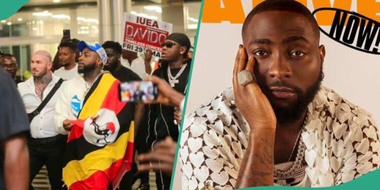 Davido’s huge sum for Ugandan performance revealed Davido’s huge sum for Ugandan performance revealed