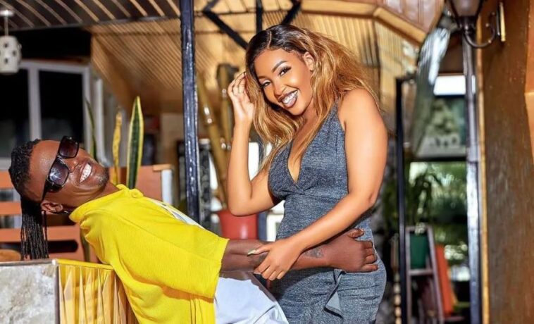 Weasel has never beaten me- Sandra Teta Weasel has never beaten me- Sandra Teta